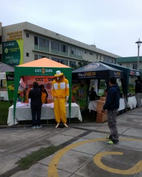 Stand en Lima, Perú